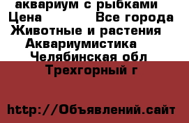 аквариум с рыбками › Цена ­ 1 000 - Все города Животные и растения » Аквариумистика   . Челябинская обл.,Трехгорный г.